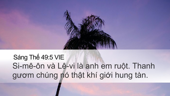 Sáng Thế 49:5 VIE Bible Verse Image