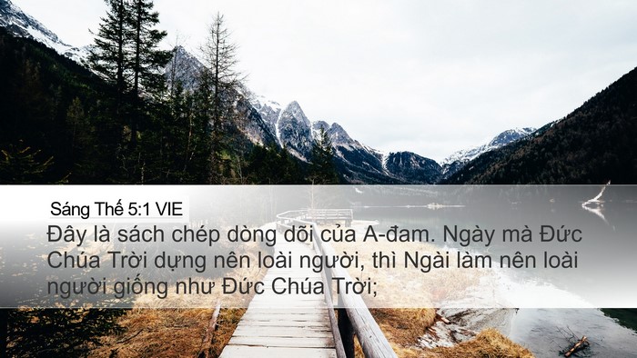 Sáng Thế 5:1 VIE Bible Verse Image