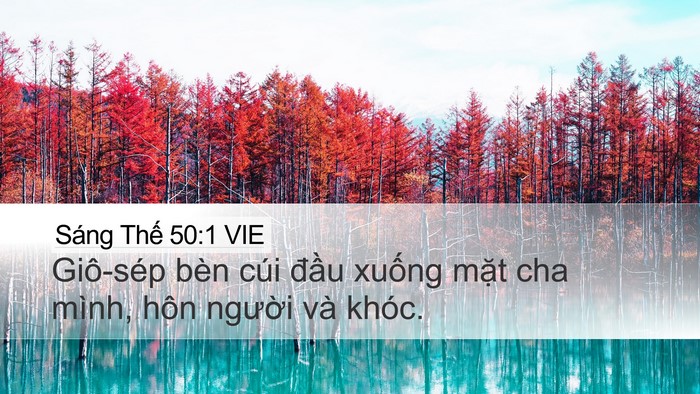 Sáng Thế 50:1 VIE Desktop Wallpaper - Giô-sép bèn cúi đầu xuống mặt cha - Desktop Bible Verse Wallpaper