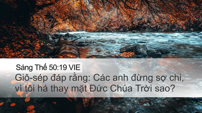 Sáng Thế 50:19 VIE Desktop Wallpaper - Giô-sép đáp rằng: Các anh đừng sợ - Desktop Bible Verse Wallpaper