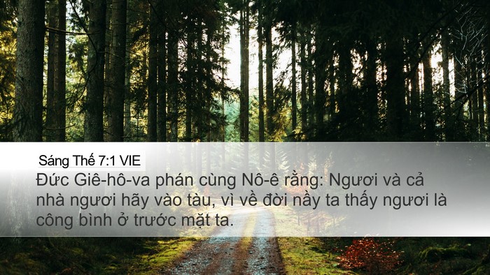 Sáng Thế 7:1 VIE Bible Verse Image
