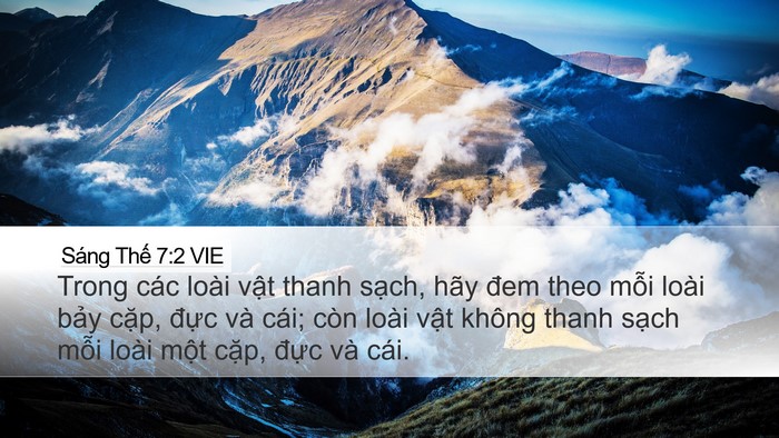Sáng Thế 7:2 VIE Bible Verse Image