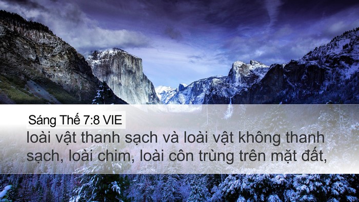 Sáng Thế 7:8 VIE Desktop Wallpaper - loài vật thanh sạch và loài vật không - Desktop Bible Verse Wallpaper