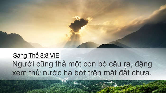 Sáng Thế 8:8 VIE Bible Verse Image
