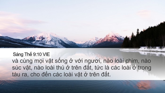 Sáng Thế 9:10 VIE Desktop Wallpaper - và cùng mọi vật sống ở với ngươi, - Desktop Bible Verse Wallpaper