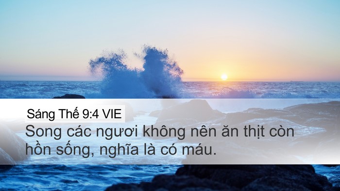 Sáng Thế 9:4 VIE Bible Verse Image