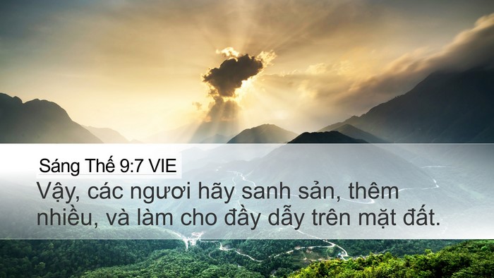 Sáng Thế 9:7 VIE Bible Verse Image