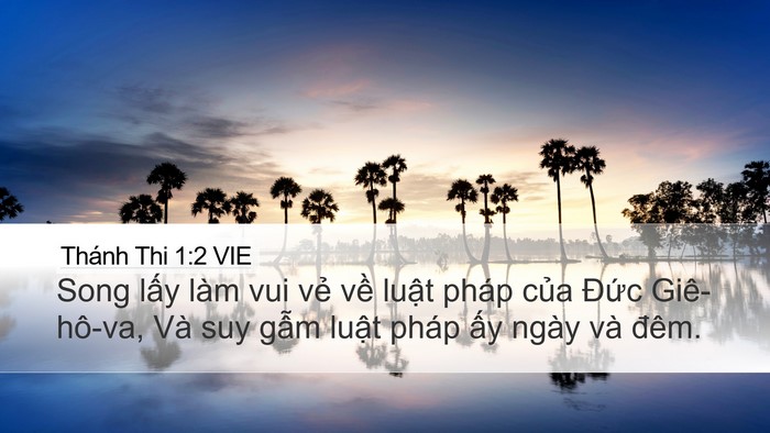 Thánh Thi 1:2 VIE Desktop Wallpaper - Song lấy làm vui vẻ về luật pháp của - Desktop Bible Verse Wallpaper