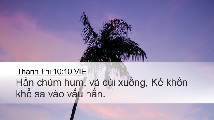 Thánh Thi 10:10 VIE Desktop Wallpaper - Hắn chùm hum, và cúi xuống, Kẻ khốn - Desktop Bible Verse Wallpaper