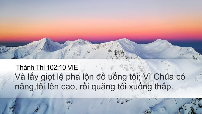 Thánh Thi 102:10 VIE Bible Verse Image