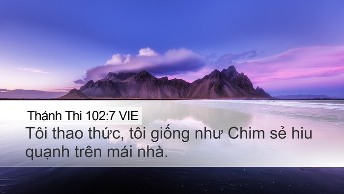 Thánh Thi 102:7 VIE Desktop Wallpaper - Tôi thao thức, tôi giống như Chim sẻ hiu - Desktop Bible Verse Wallpaper
