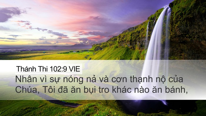 Thánh Thi 102:9 VIE Bible Verse Image