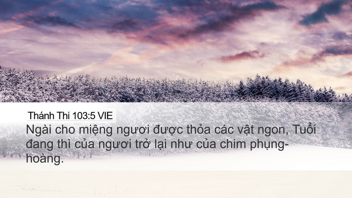 Thánh Thi 103:5 VIE Bible Verse Image