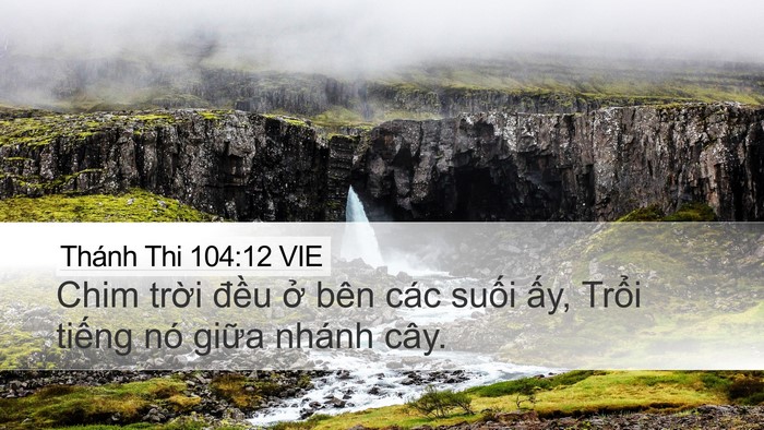 Thánh Thi 104:12 VIE Bible Verse Image