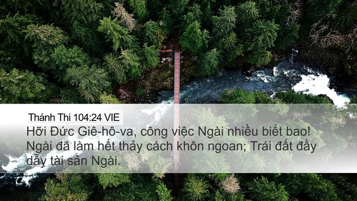 Thánh Thi 104:24 VIE Bible Verse Image