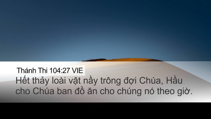 Thánh Thi 104:27 VIE Bible Verse Image