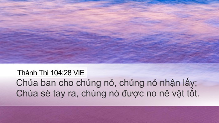 Thánh Thi 104:28 VIE Bible Verse Image