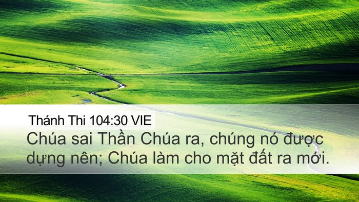 Thánh Thi 104:30 VIE Bible Verse Image