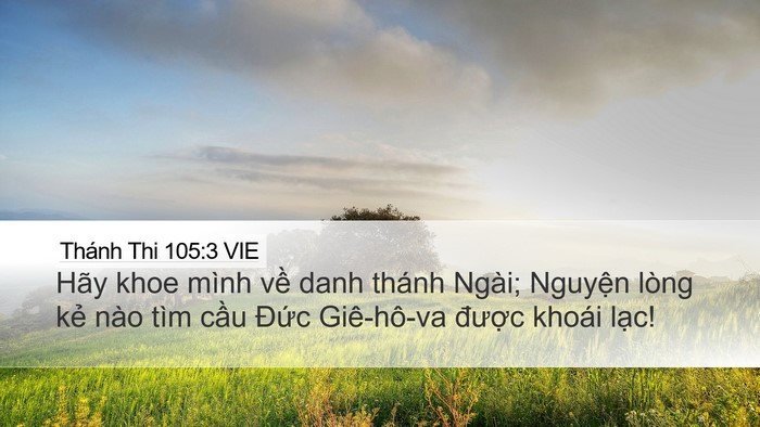 Thánh Thi 105:3 VIE Bible Verse Image