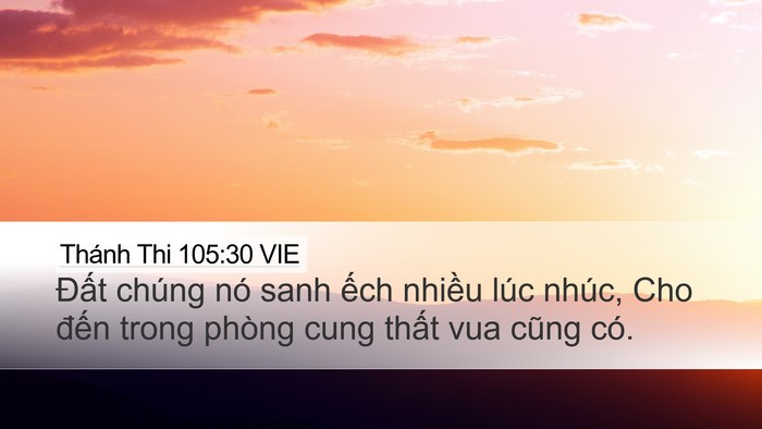 Thánh Thi 105:30 VIE Bible Verse Image