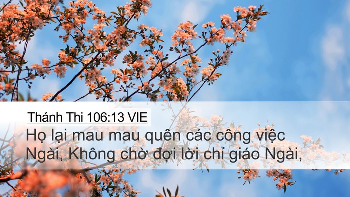 Thánh Thi 106:13 VIE Bible Verse Image