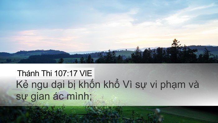 Thánh Thi 107:17 VIE Bible Verse Image