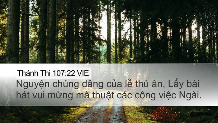 Thánh Thi 107:22 VIE Bible Verse Image