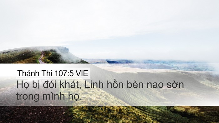 Thánh Thi 107:5 VIE Desktop Wallpaper - Họ bị đói khát, Linh hồn bèn nao sờn - Desktop Bible Verse Wallpaper