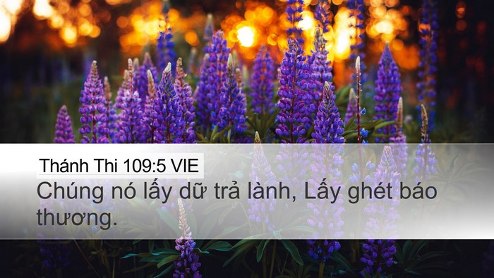 Thánh Thi 109:5 VIE Bible Verse Image