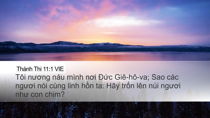 Thánh Thi 11:1 VIE Bible Verse Image