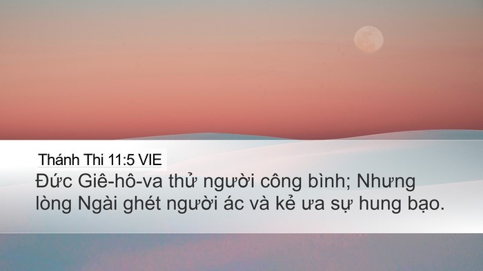Thánh Thi 11:5 VIE Bible Verse Image