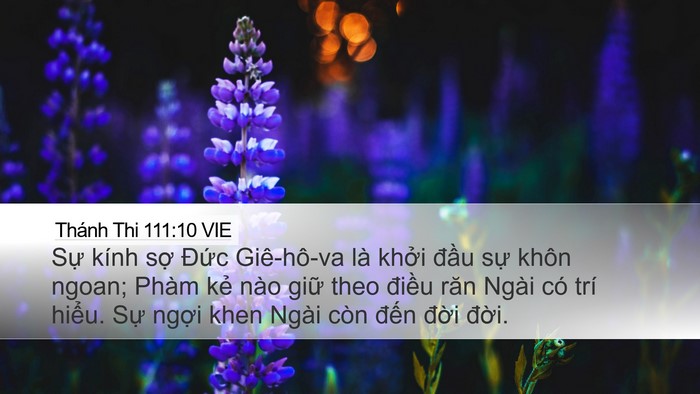 Thánh Thi 111:10 VIE Bible Verse Image