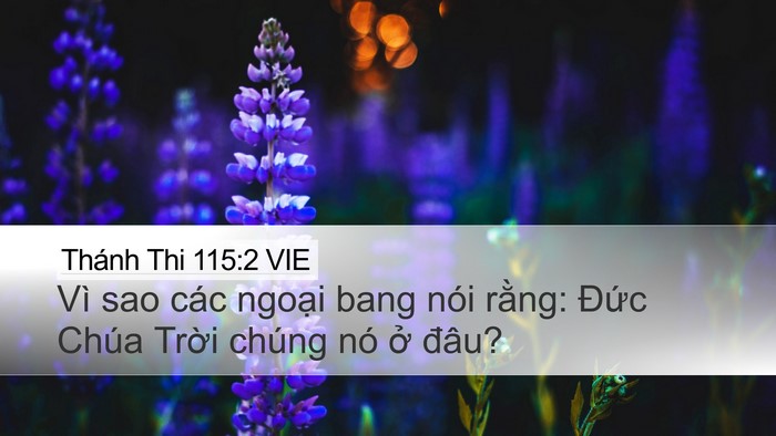 Thánh Thi 115:2 VIE Desktop Wallpaper - Vì sao các ngoại bang nói rằng: Đức - Desktop Bible Verse Wallpaper