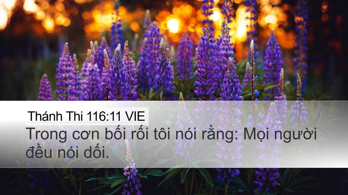 Thánh Thi 116:11 VIE Bible Verse Image