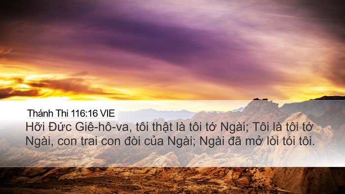 Thánh Thi 116:16 VIE Bible Verse Image