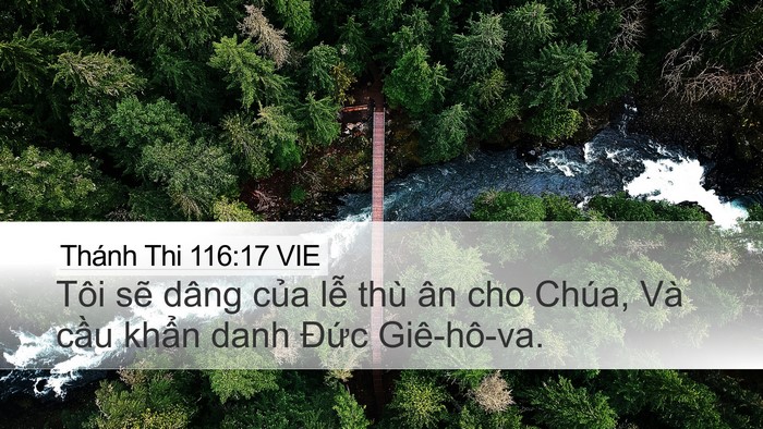Thánh Thi 116:17 VIE Bible Verse Image