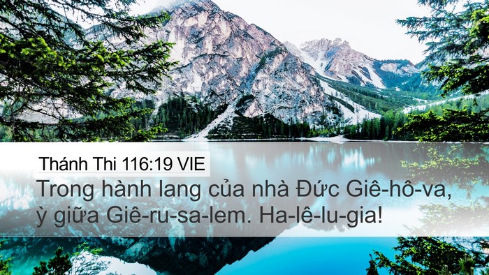 Thánh Thi 116:19 VIE Bible Verse Image