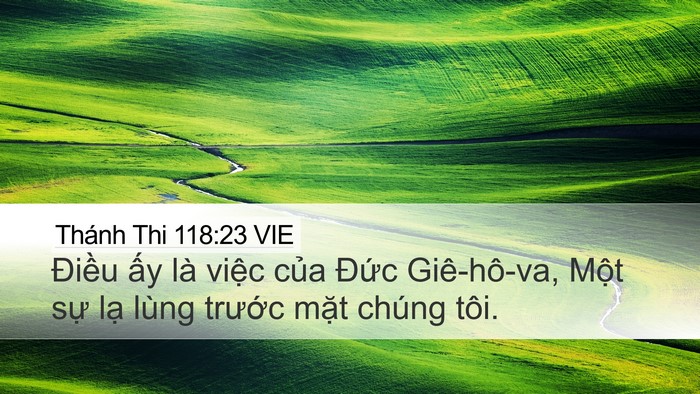 Thánh Thi 118:23 VIE Desktop Wallpaper - Điều ấy là việc của Đức Giê-hô-va, - Desktop Bible Verse Wallpaper