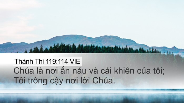 Thánh Thi 119:114 VIE Bible Verse Image