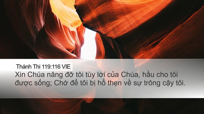 Thánh Thi 119:116 VIE Bible Verse Image