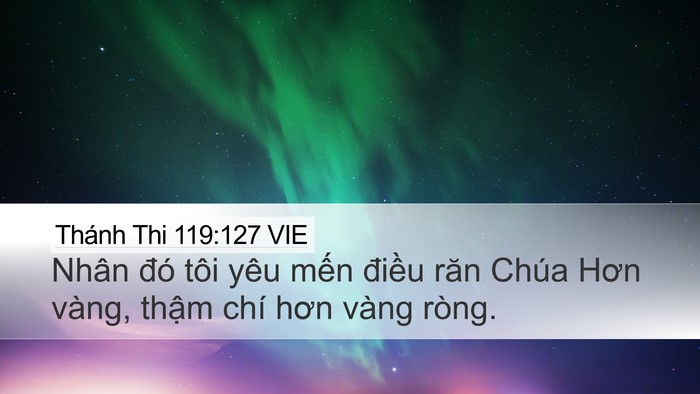 Thánh Thi 119:127 VIE Bible Verse Image