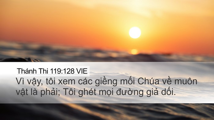Thánh Thi 119:128 VIE Bible Verse Image