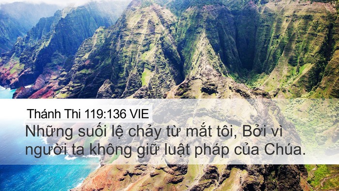 Thánh Thi 119:136 VIE Bible Verse Image