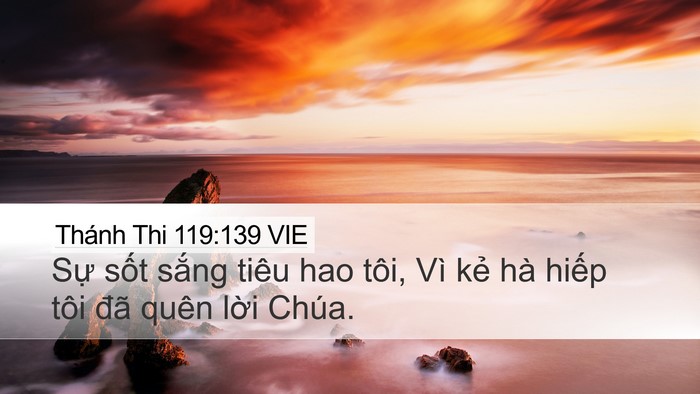 Thánh Thi 119:139 VIE Bible Verse Image
