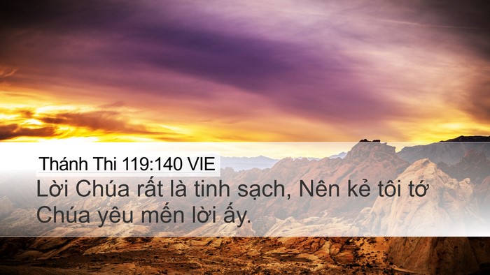 Thánh Thi 119:140 VIE Bible Verse Image