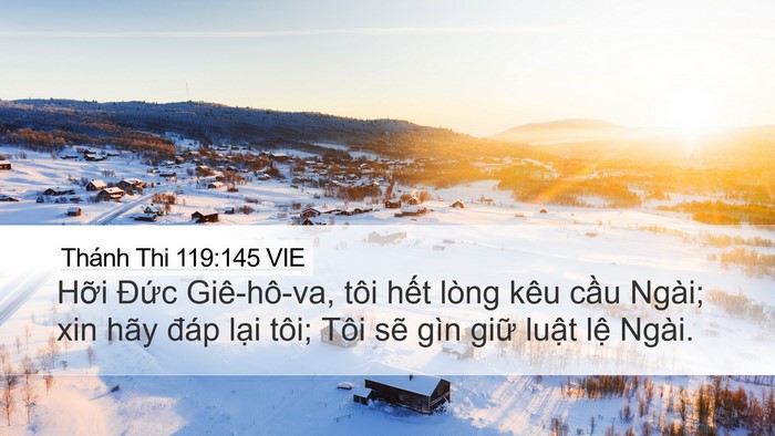 Thánh Thi 119:145 VIE Bible Verse Image