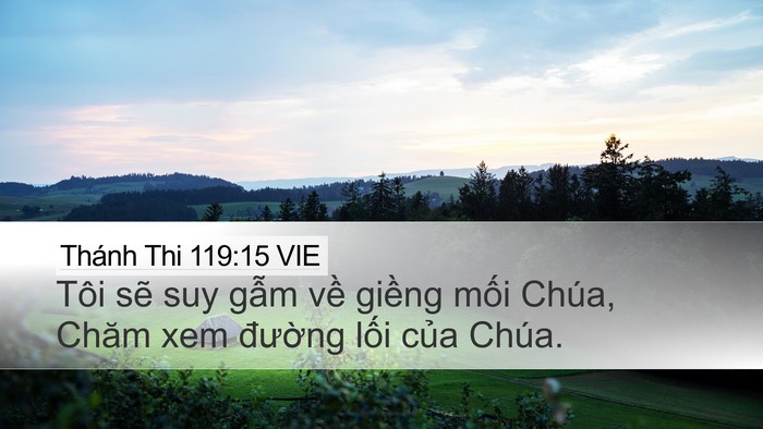 Thánh Thi 119:15 VIE Bible Verse Image