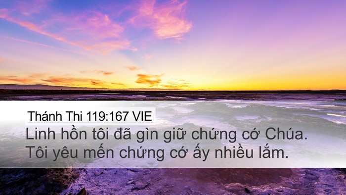 Thánh Thi 119:167 VIE Bible Verse Image
