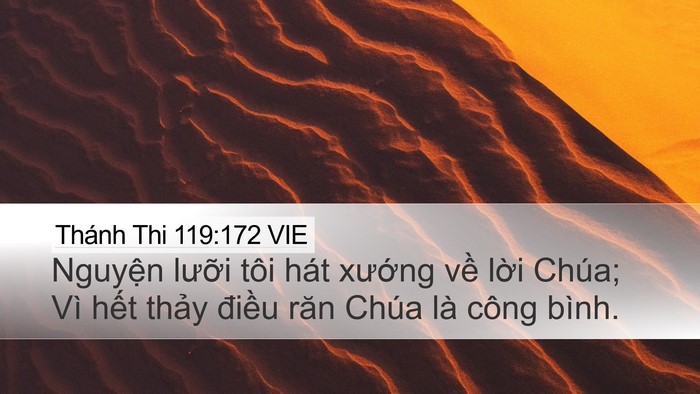 Thánh Thi 119:172 VIE Bible Verse Image