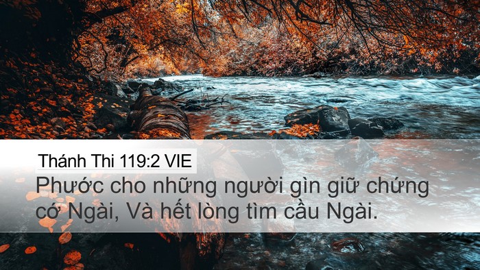 Thánh Thi 119:2 VIE Desktop Wallpaper - Phước cho những người gìn giữ chứng - Desktop Bible Verse Wallpaper